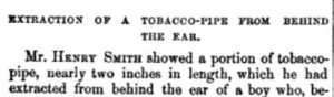 tobacco pipe ear