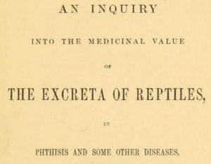Excreta of reptiles