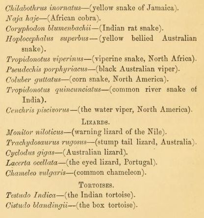 List of reptiles