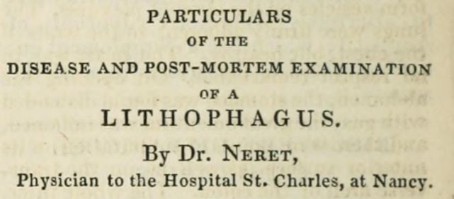 particulars of the disease and post mortem of a lithophagus