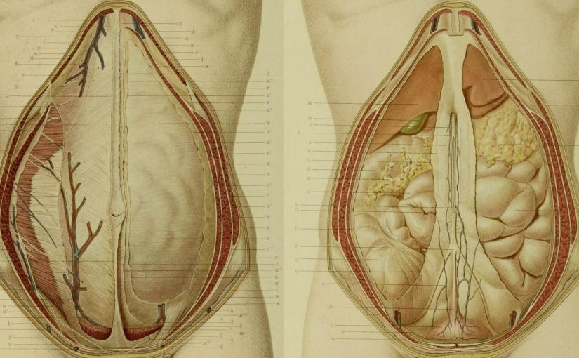 hernia abdomen