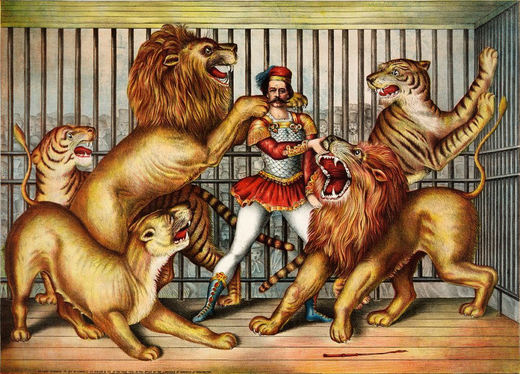 Lion tamer